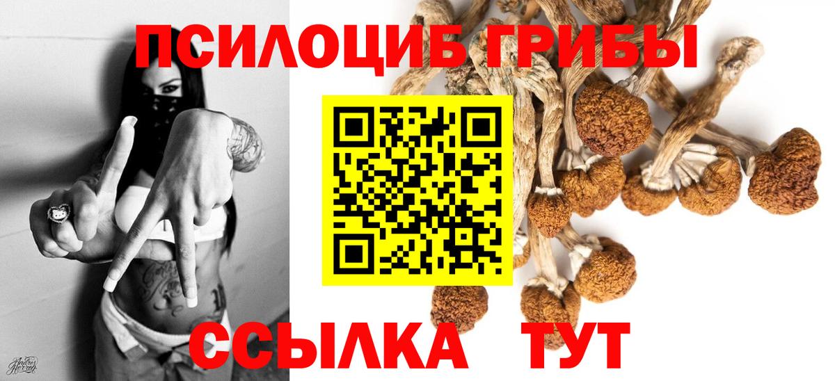 Югорск  Галлюциногенные грибы Cubensis  Псилоцибиновые грибы Psilocybine cubensis  Вход с VPN 