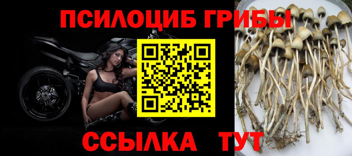 Галлюциногенные грибы Magic Shrooms Югорск